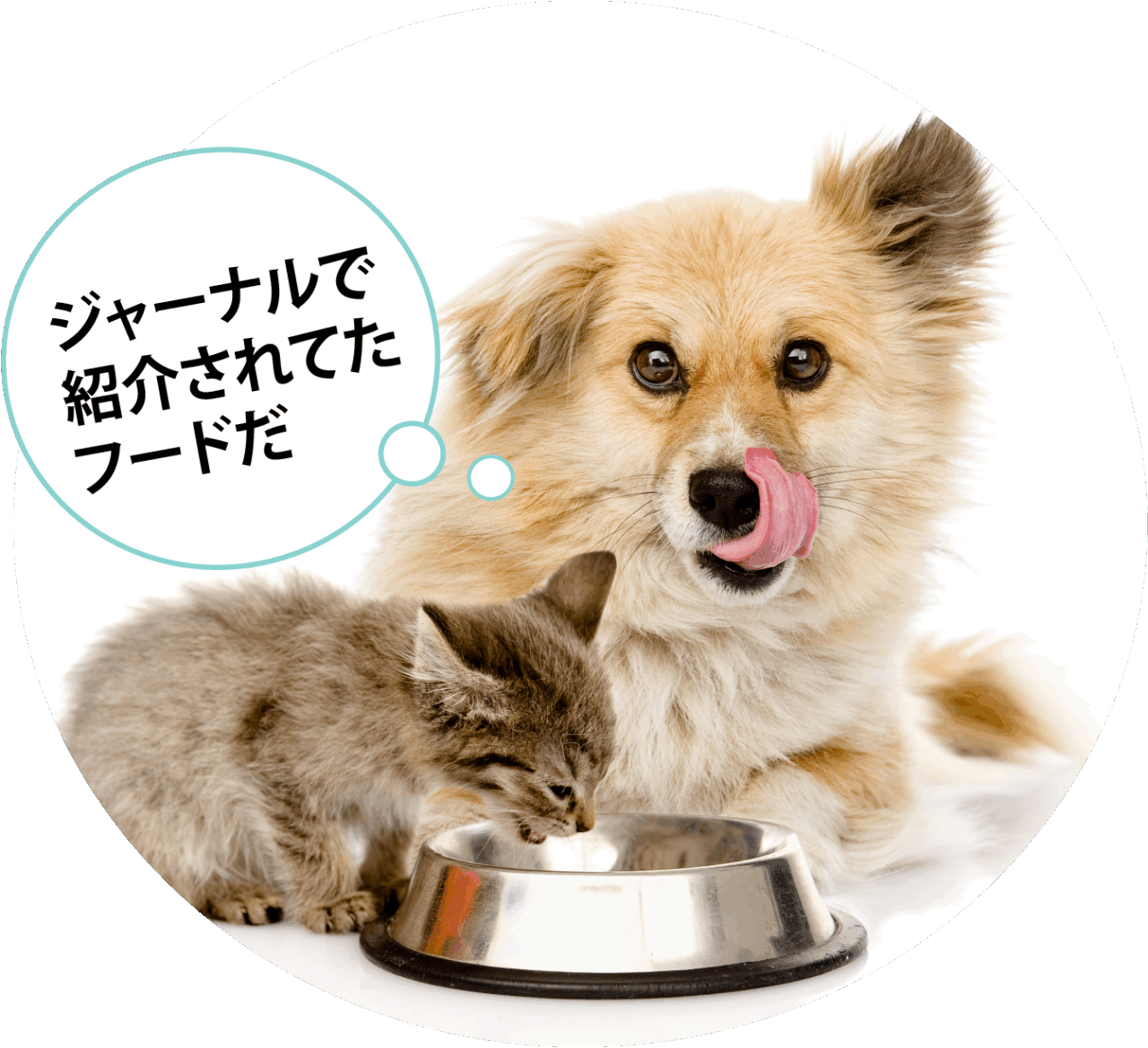 安心